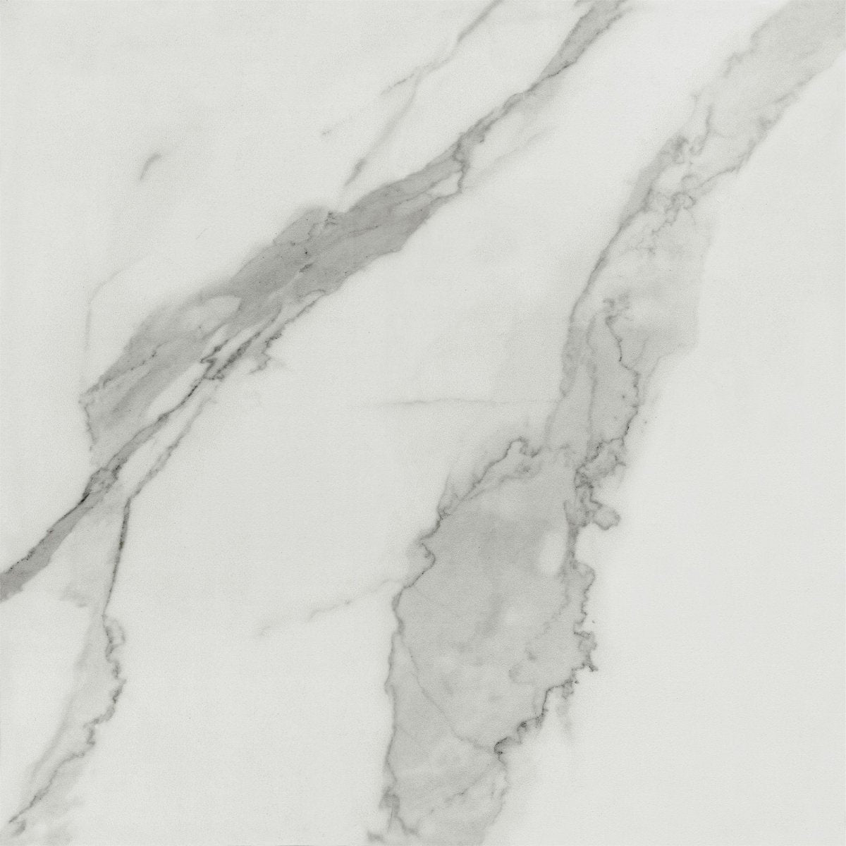Carrara Bianco - Tile Empire