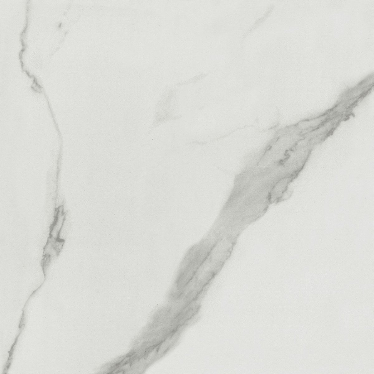 Carrara Bianco - Tile Empire