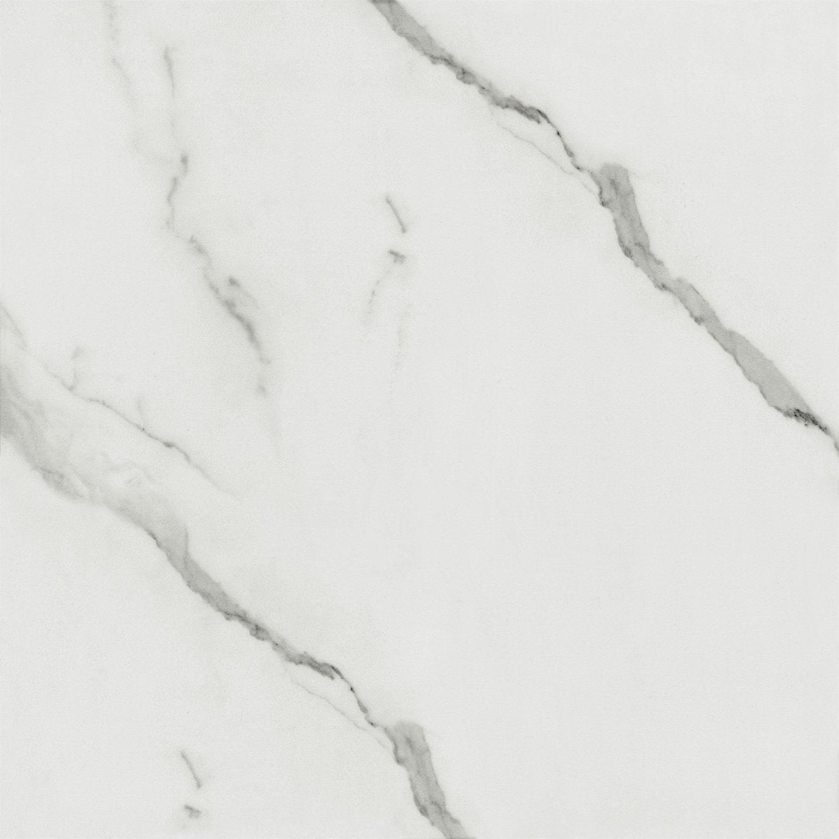 Carrara Bianco - Tile Empire
