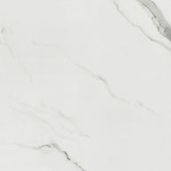 Carrara Bianco - Tile Empire