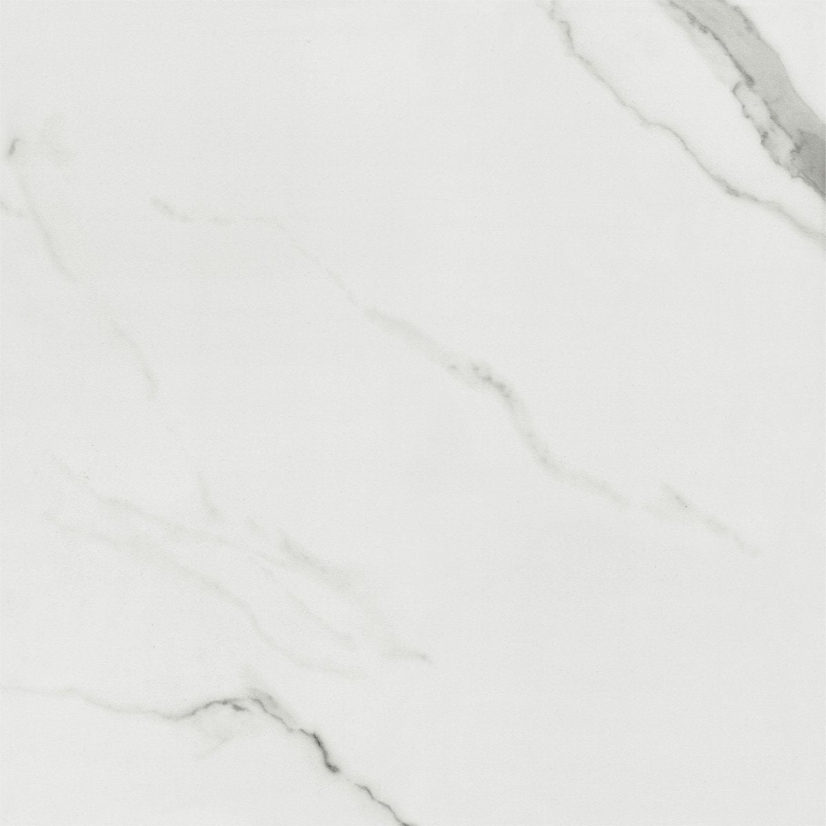 Carrara Bianco - Tile Empire