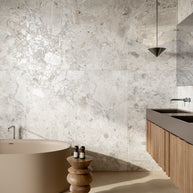 Fusion Plaster