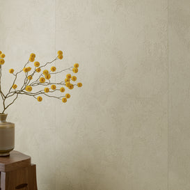 Fusion Plaster