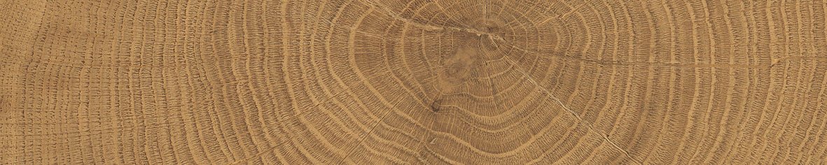 W - Circles - Tile Empire