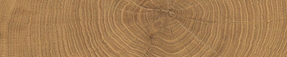 W - Circles - Tile Empire