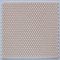 Enameled Glass Penny Round - Tile Empire