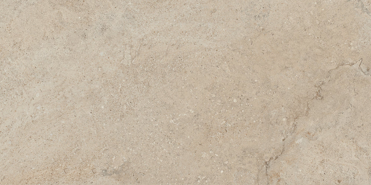 Lithoteke Limestone