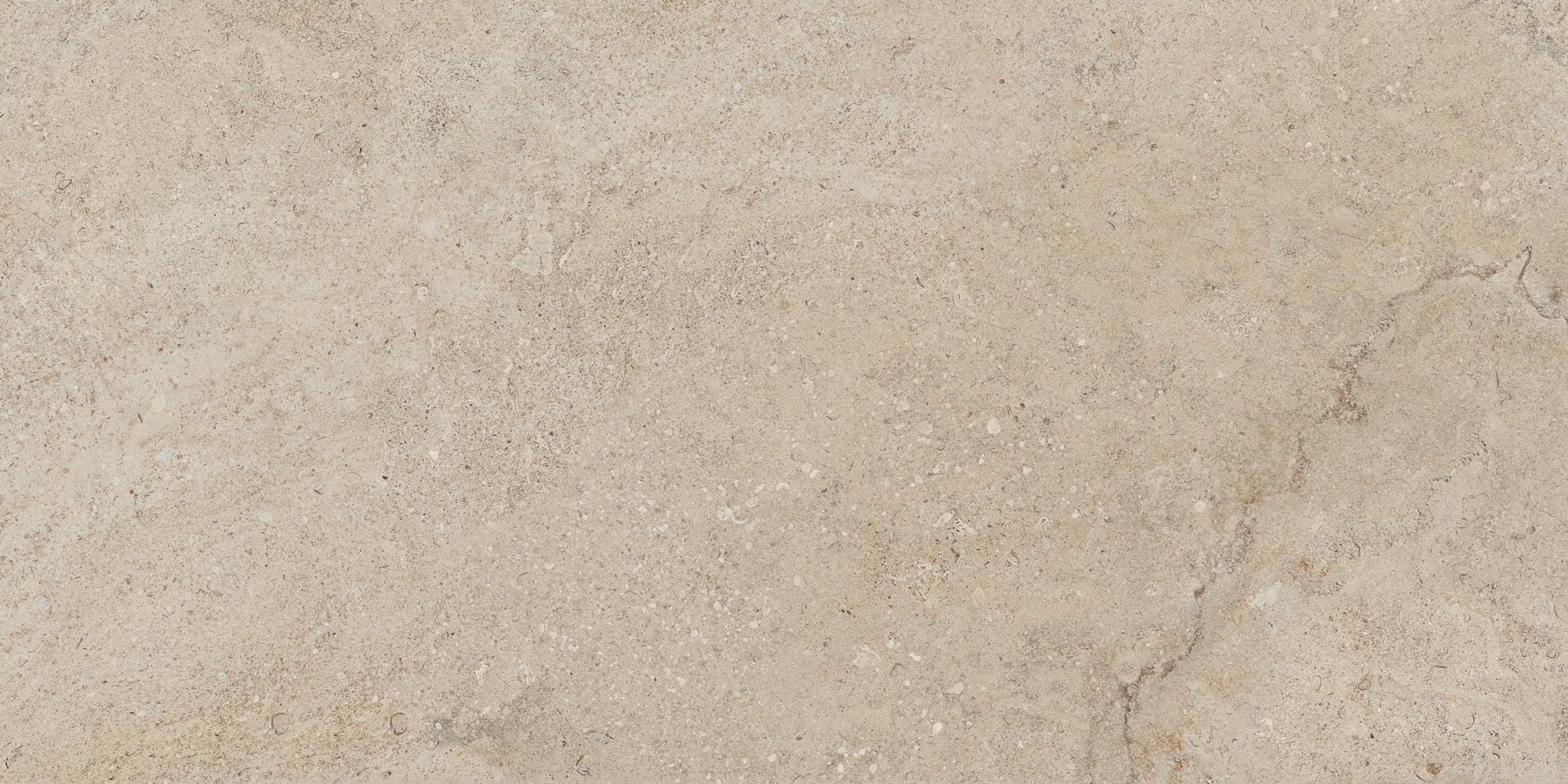 Lithoteke Limestone