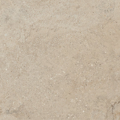 Lithoteke Limestone