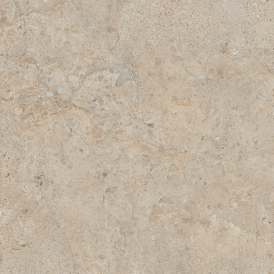 Lithoteke Limestone
