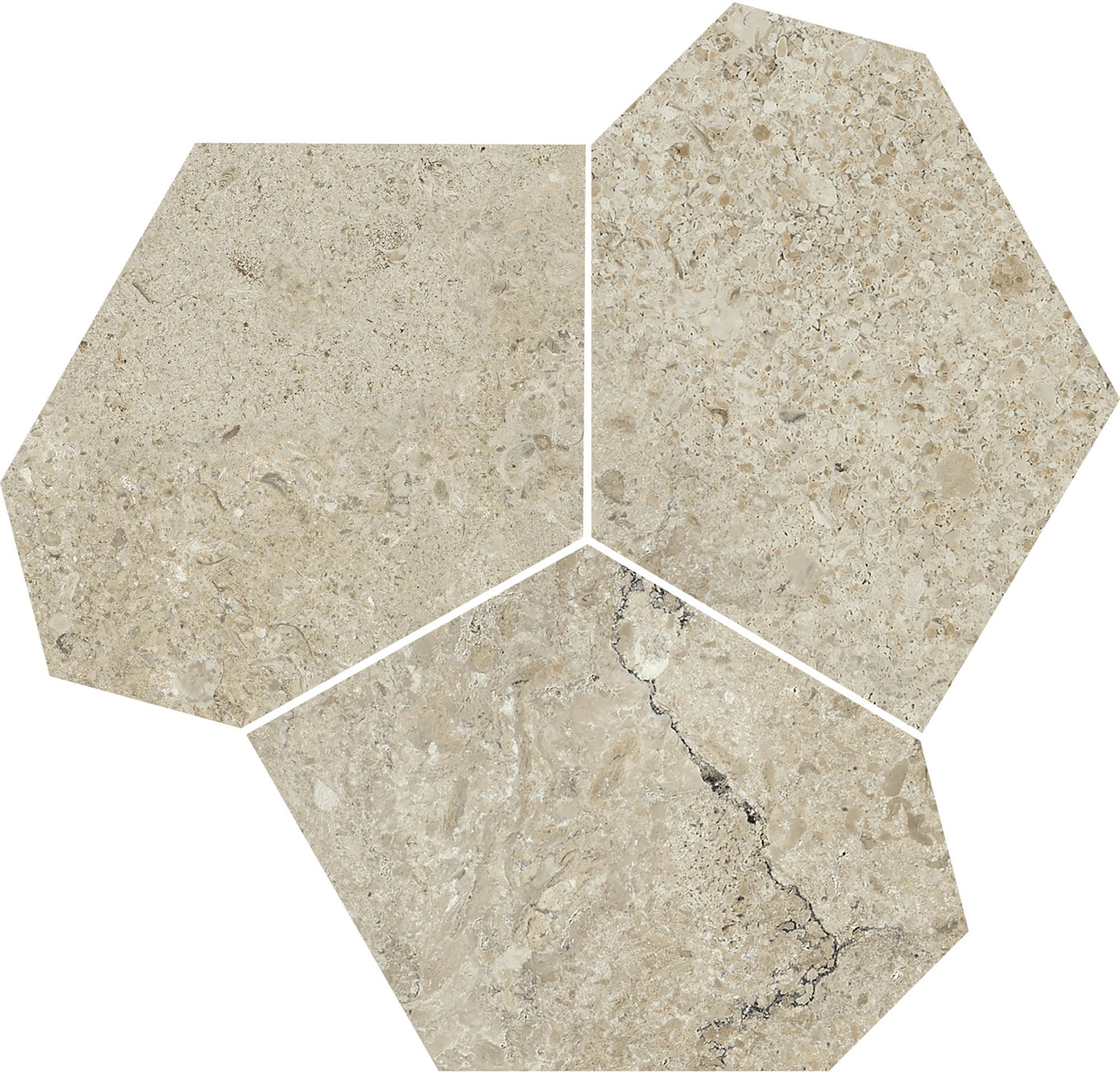 Lithoteke Limestone