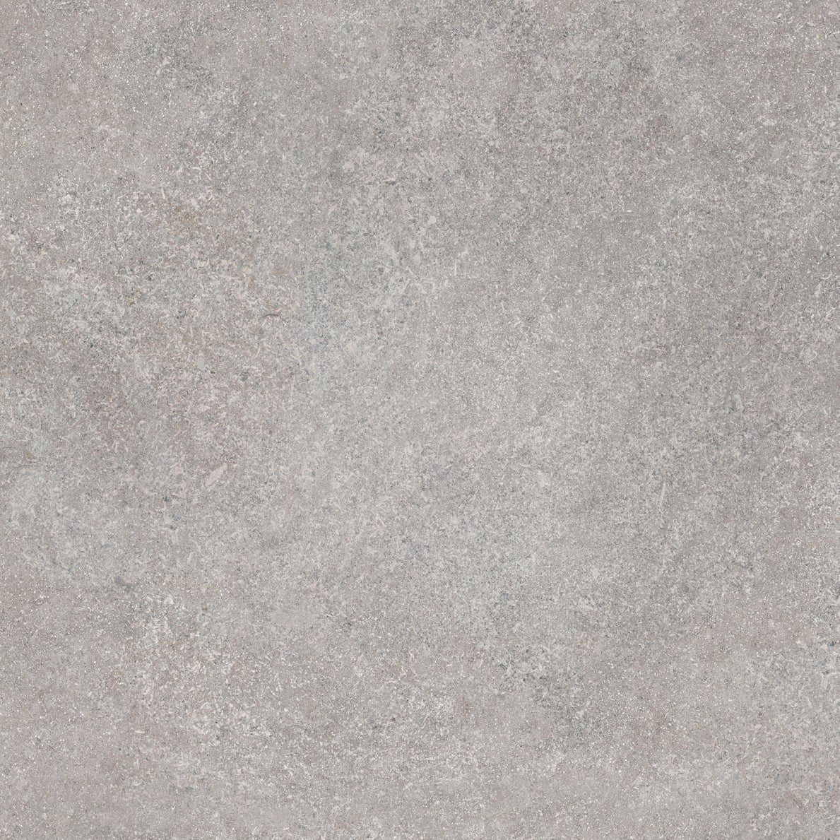 Reverso Cement - Tile Empire