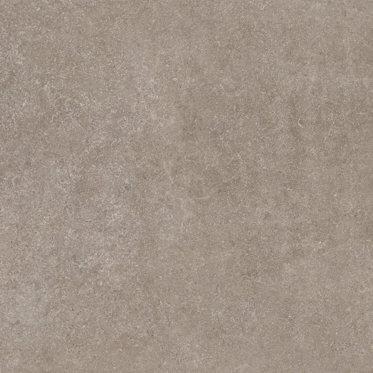 Reverso Cement - Tile Empire